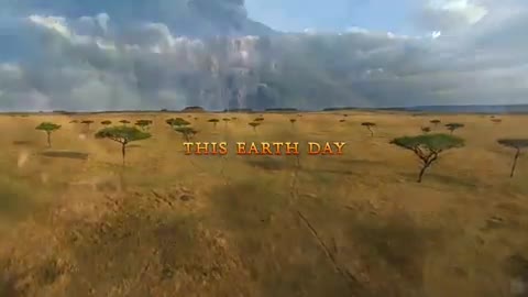 African Cats: Kingdom Of Courage Fragman
