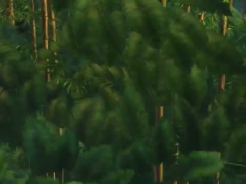 Tarzan 2 Fragman 2