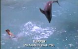 Flipper 2. Fragmanı